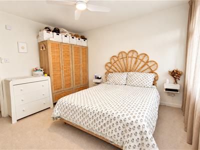 Picture 17
